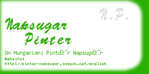 napsugar pinter business card
